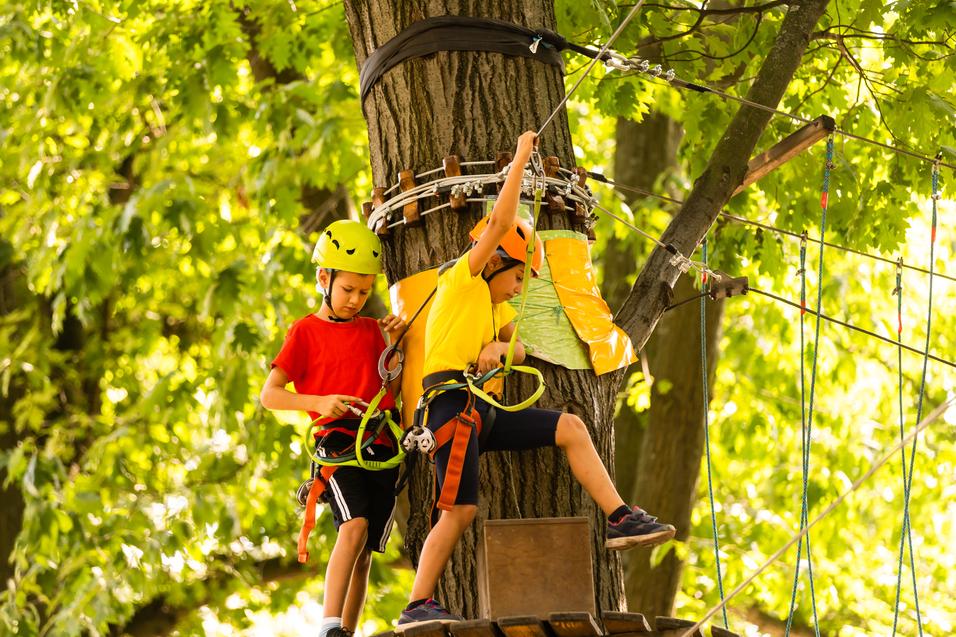 Baumklettern 2 Kinder klettern gesichert am Baum