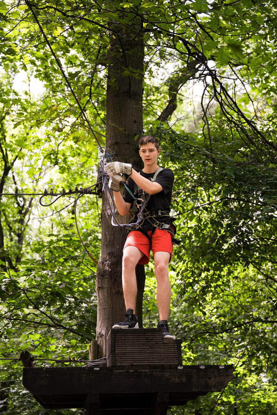 Baumklettern Junge klettert gesichert am Baum