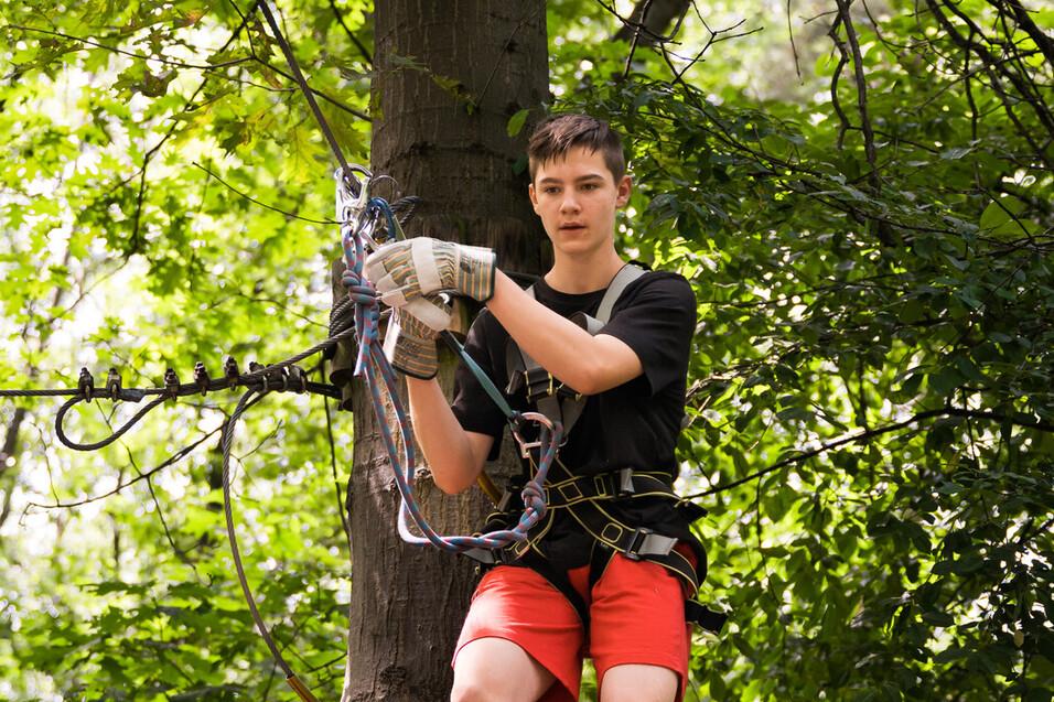 Baumklettern Junge klettert gesichert am Baum