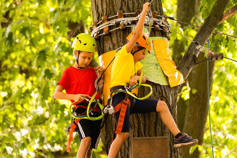 Baumklettern 2 Kinder klettern gesichert am Baum
